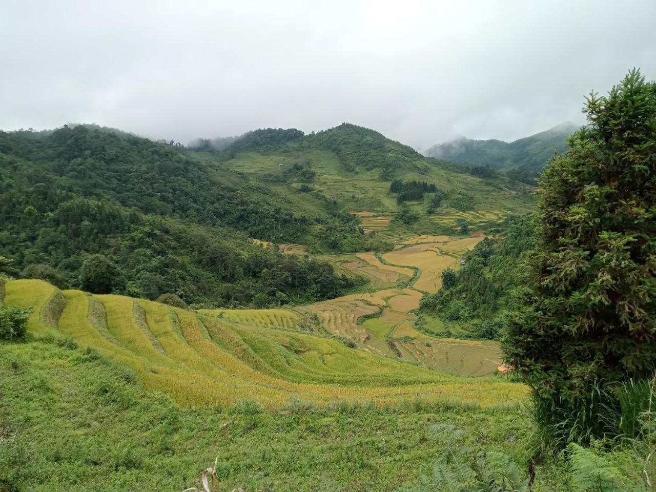 Bac Ha Charm Stay Bagian luar foto