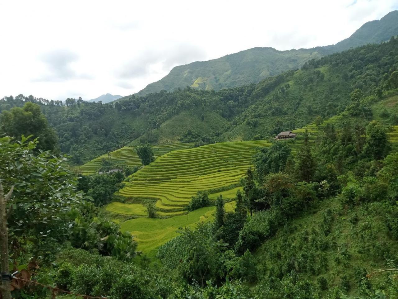 Bac Ha Charm Stay Bagian luar foto