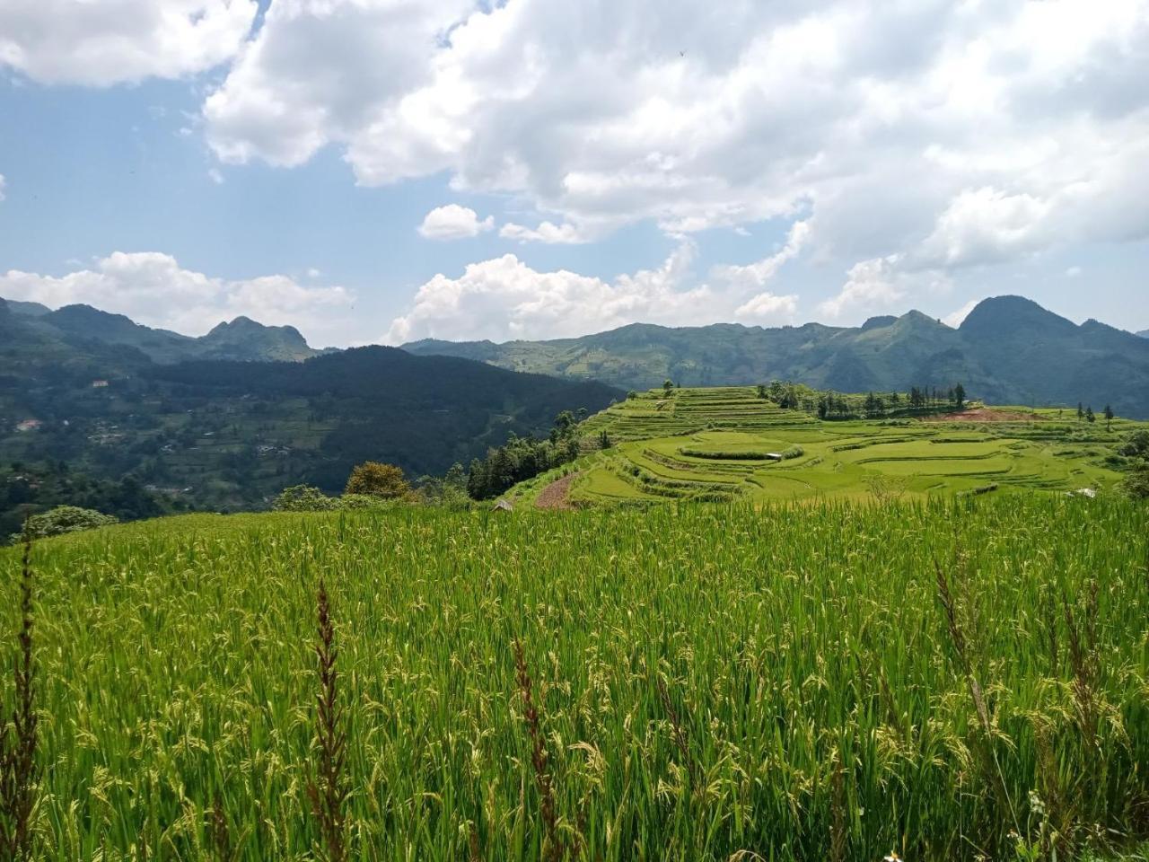 Bac Ha Charm Stay Bagian luar foto