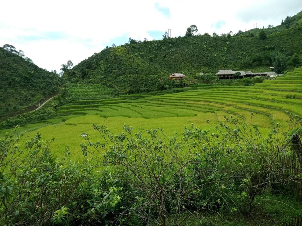 Bac Ha Charm Stay Bagian luar foto
