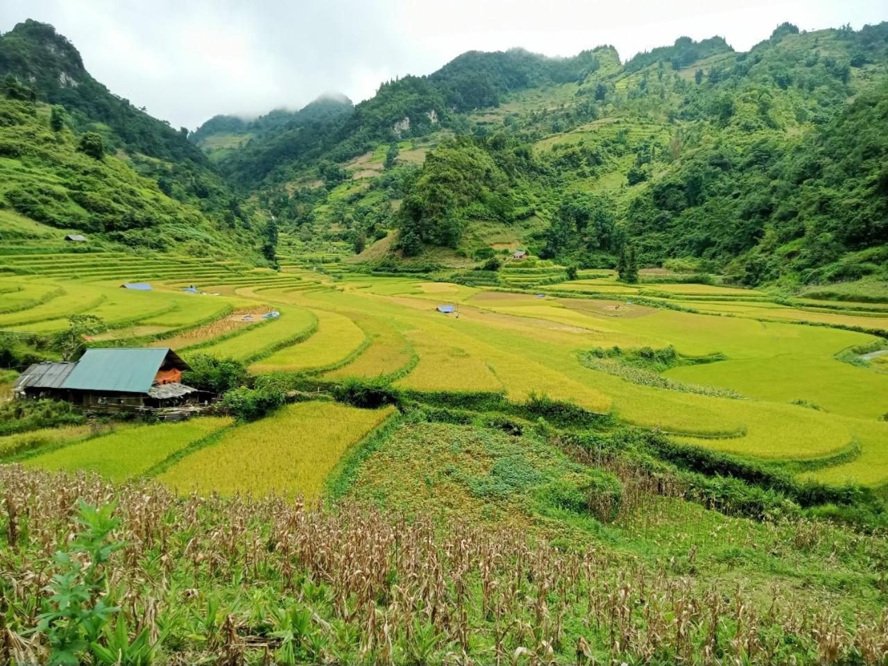 Bac Ha Charm Stay Bagian luar foto