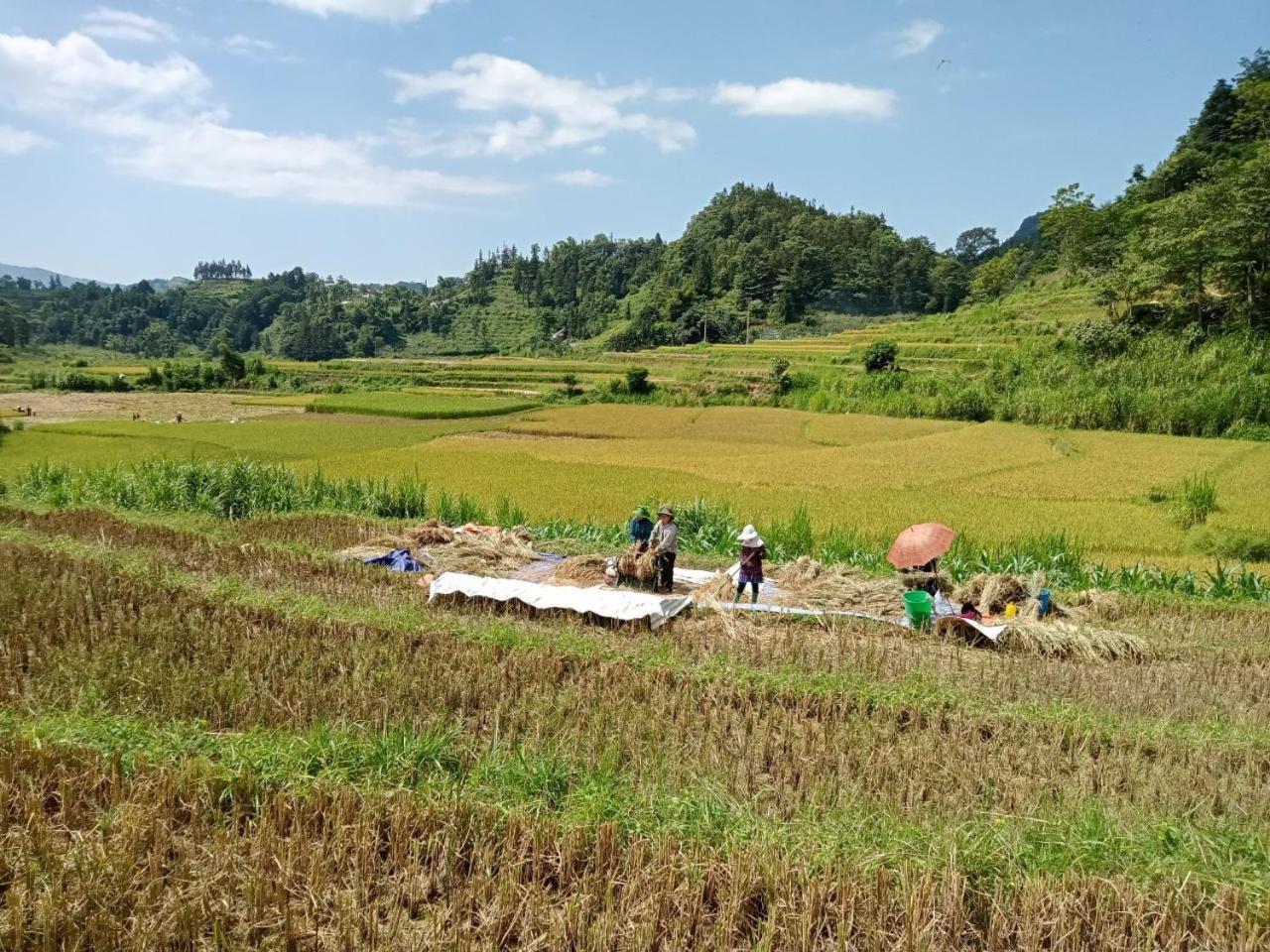 Bac Ha Charm Stay Bagian luar foto