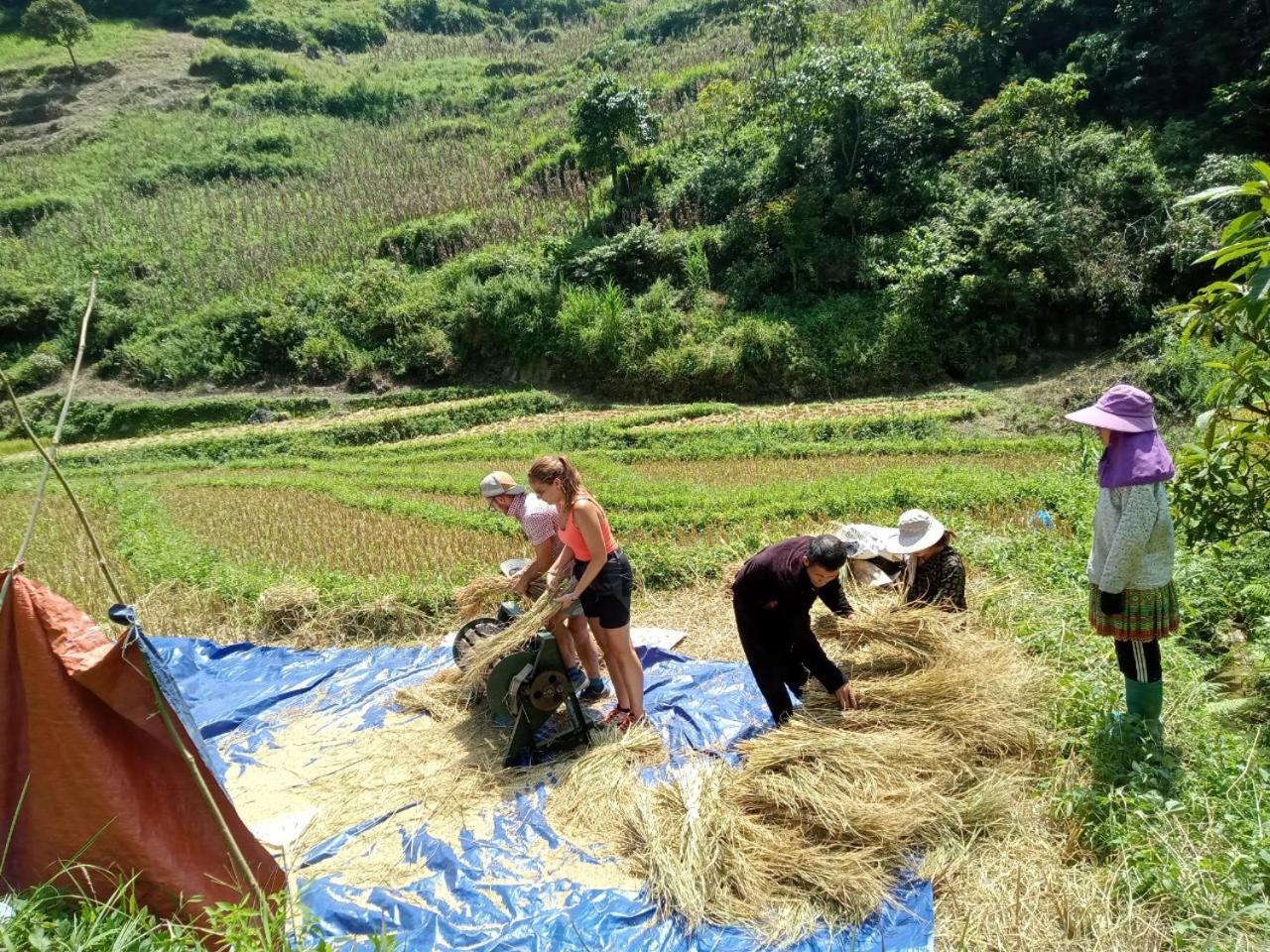 Bac Ha Charm Stay Bagian luar foto