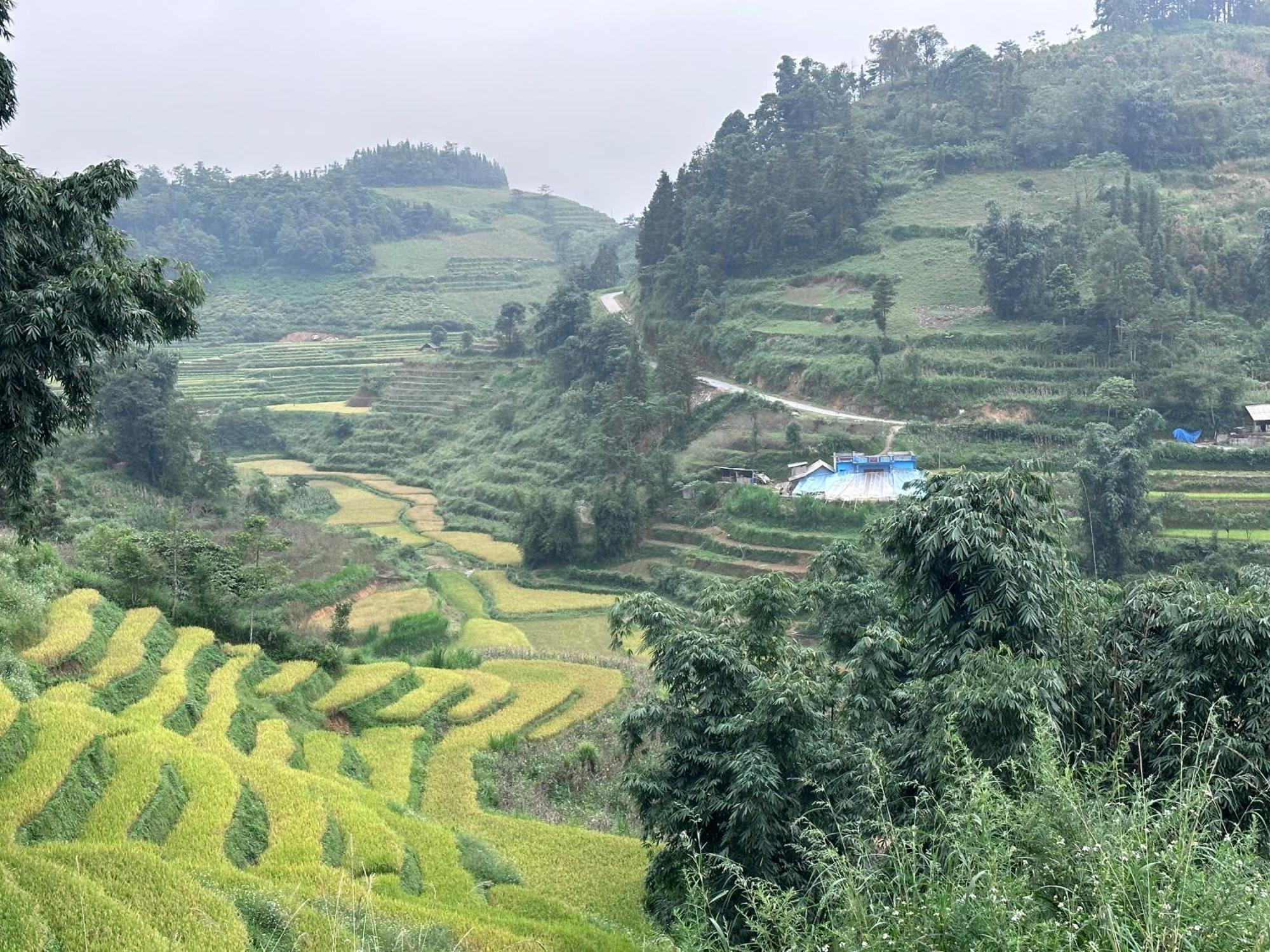 Bac Ha Charm Stay Bagian luar foto